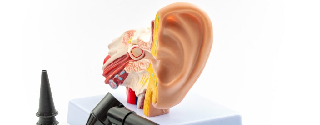 attachment-or-otolaryngology-appointment-deafness-prevention-and-hearing-organ-picture-id1200000869-min