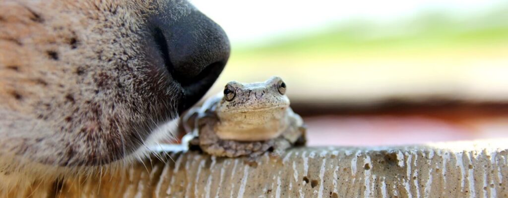 attachment-what-causes-a-lump-in-your-throat