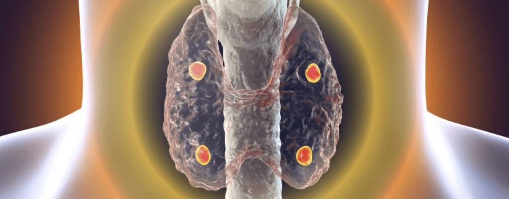 attachment-what-do-the-parathyroid-glands-do-for-your-body
