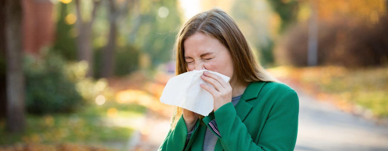 attachment-what-is-in-a-sneeze