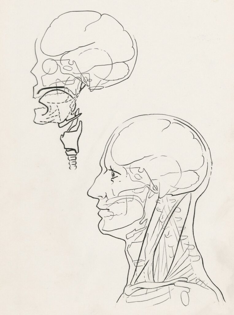 europeana-_1teaf9cuq8-unsplash