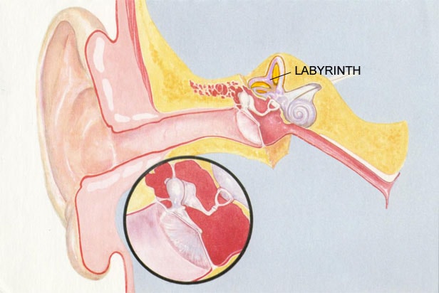 ear-labyrinth-min