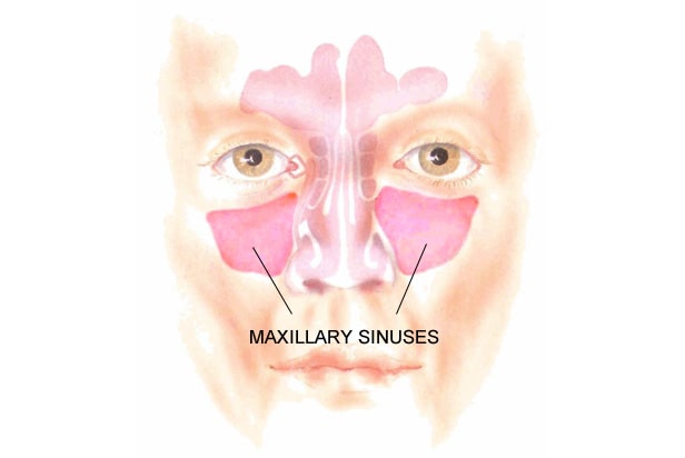 nose-maxillary-sinuses-min