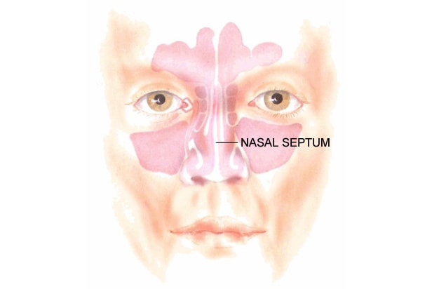 nose-nasal-septum-min